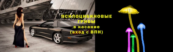 кристаллы Осинники