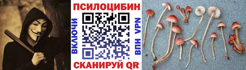Галлюциногенные грибы мицелий  mega онион  Унеча  даркнет сайт 