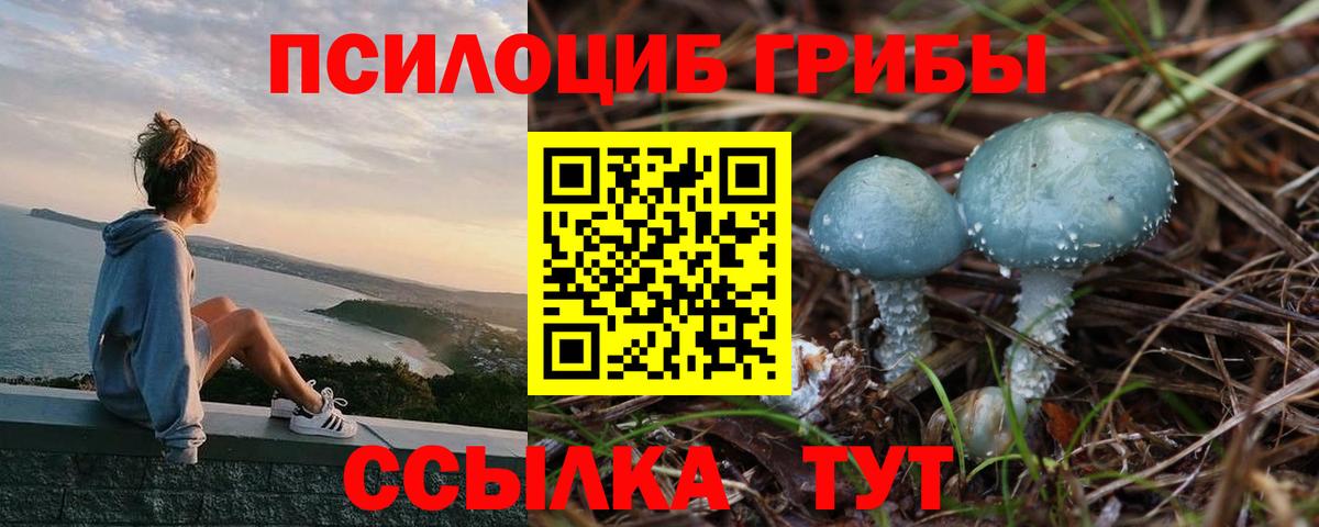 Псилоцибиновые грибы прущие грибы  Вход с VPN  Унеча 