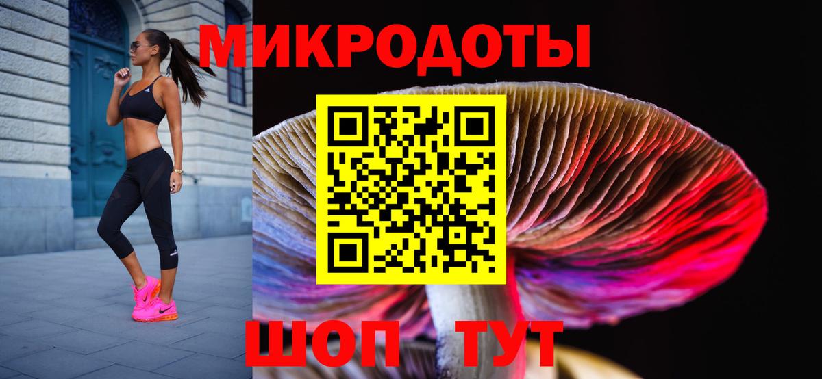 Псилоцибиновые грибы Cubensis Унеча