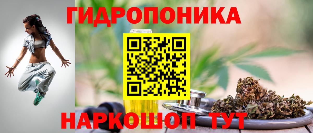 Бошки марихуана семена  Бошки Шишки Amnesia  Вход с VPN  Унеча  Канабис OG Kush 