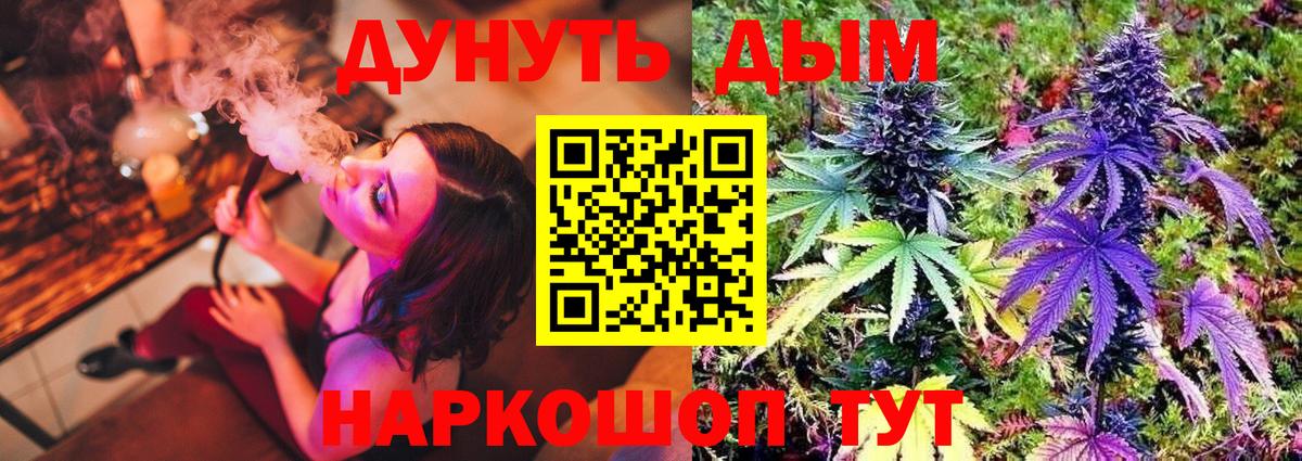 Конопля план Унеча